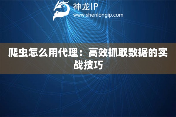 爬蟲怎么用代理：高效抓取數據的實戰技巧