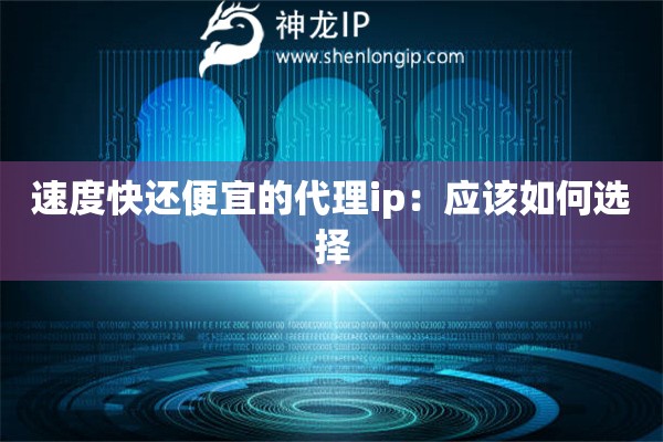 速度快還便宜的代理ip：應(yīng)該如何選擇