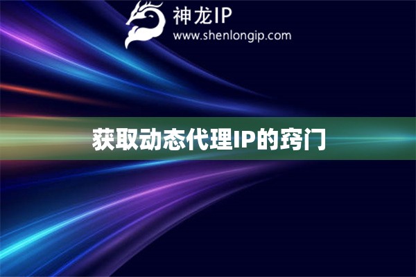 獲取動態代理IP的竅門