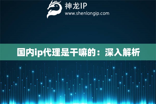 國內ip代理是干嘛的：深入解析