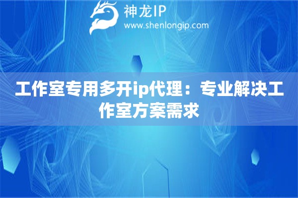 工作室專用多開ip代理：專業解決工作室方案需求