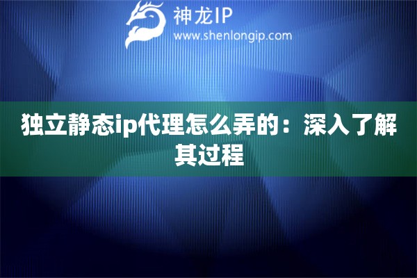 獨(dú)立靜態(tài)ip代理怎么弄的：深入了解其過程