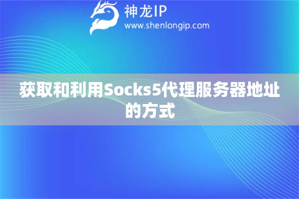 獲取和利用Socks5代理服務器地址的方式