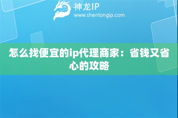 怎么找便宜的ip代理商家：省錢又省心的攻略