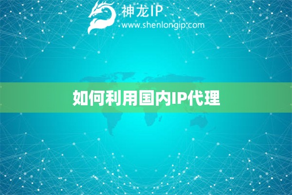 如何利用國內IP代理