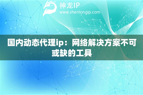國內(nèi)動(dòng)態(tài)代理ip：網(wǎng)絡(luò)解決方案不可或缺的工具
