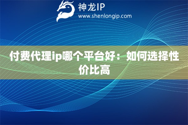 付費代理ip哪個平臺好：如何選擇性價比高