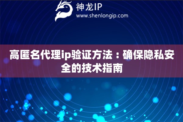 高匿名代理ip驗證方法 : 確保隱私安全的技術指南