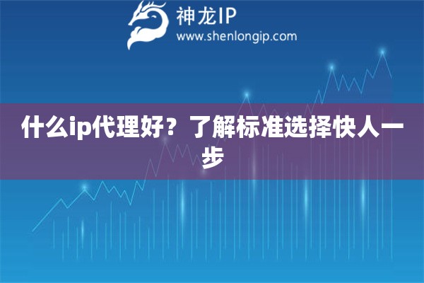 什么ip代理好？了解標準選擇快人一步