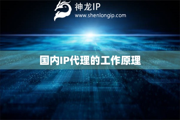 國內IP代理的工作原理