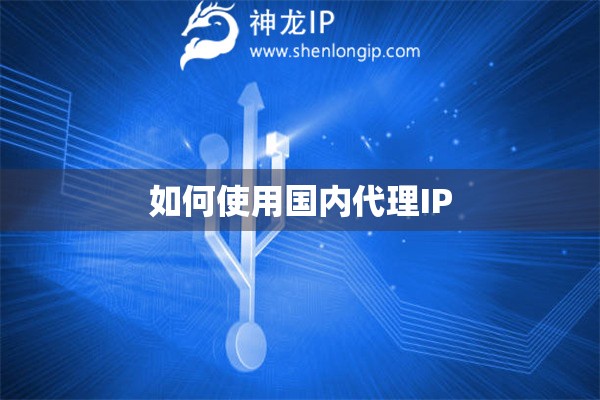 如何使用國內代理IP