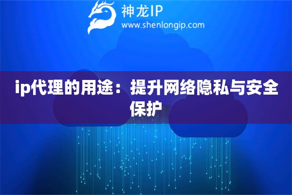 ip代理的用途：提升網絡隱私與安全保護