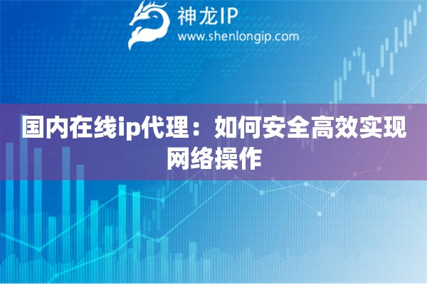 國內(nèi)在線ip代理：如何安全高效實(shí)現(xiàn)網(wǎng)絡(luò)操作
