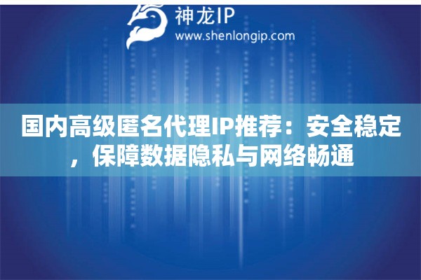 國內(nèi)高級(jí)匿名代理IP推薦：安全穩(wěn)定，保障數(shù)據(jù)隱私與網(wǎng)絡(luò)暢通