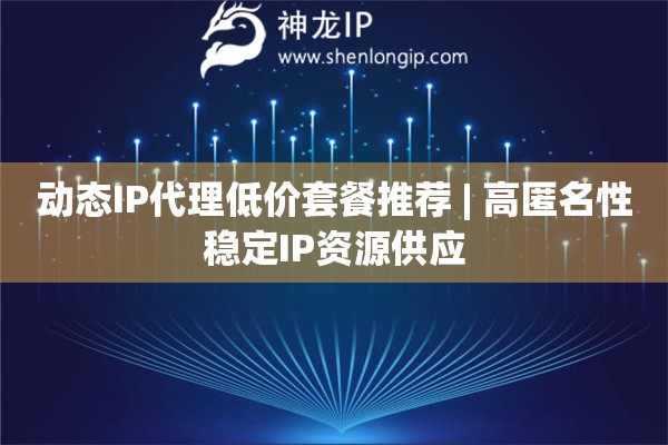動(dòng)態(tài)IP代理低價(jià)套餐推薦 | 高匿名性穩(wěn)定IP資源供應(yīng)