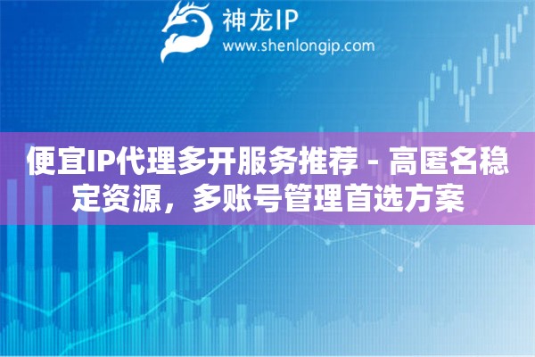 便宜IP代理多開服務推薦 - 高匿名穩定資源，多賬號管理首選方案