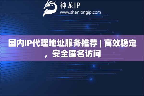 國內IP代理地址服務推薦 | 高效穩定，安全匿名訪問