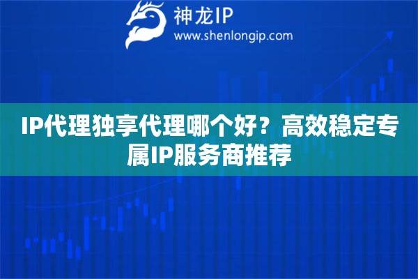 IP代理獨享代理哪個好？高效穩定專屬IP服務商推薦