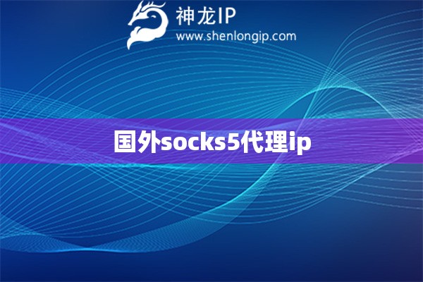 國外socks5代理ip