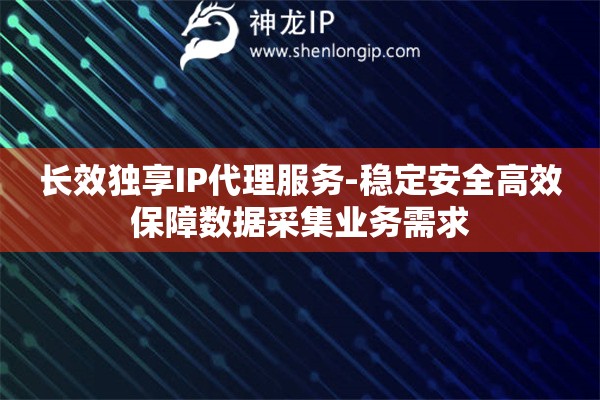 長效獨享IP代理服務-穩定安全高效保障數據采集業務需求
