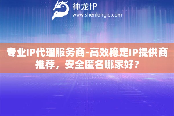專業IP代理服務商-高效穩定IP提供商推薦，安全匿名哪家好？