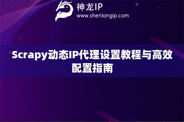 Scrapy動態IP代理設置教程與高效配置指南