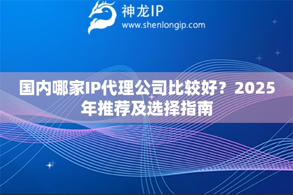 國內哪家IP代理公司比較好？2025年推薦及選擇指南