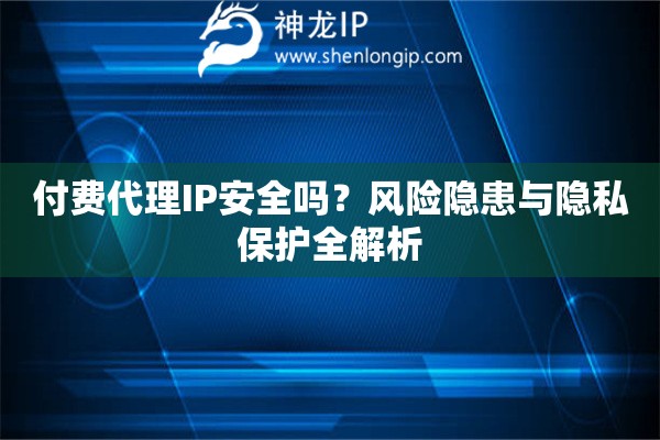 付費代理IP安全嗎？風險隱患與隱私保護全解析