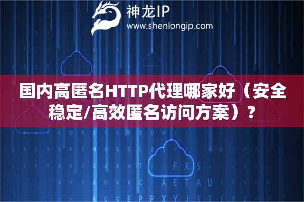 國內高匿名HTTP代理哪家好（安全穩定/高效匿名訪問方案）？