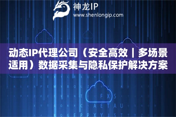 動態IP代理公司（安全高效｜多場景適用）數據采集與隱私保護解決方案