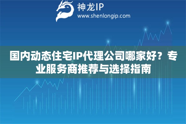 國內動態住宅IP代理公司哪家好？專業服務商推薦與選擇指南