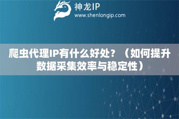 爬蟲代理IP有什么好處？（如何提升數(shù)據(jù)采集效率與穩(wěn)定性）