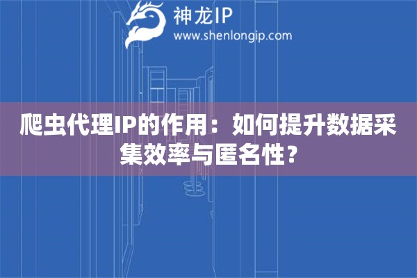 爬蟲代理IP的作用：如何提升數(shù)據(jù)采集效率與匿名性？