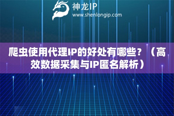 爬蟲使用代理IP的好處有哪些？（高效數(shù)據(jù)采集與IP匿名解析）