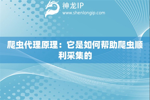 爬蟲代理原理：它是如何幫助爬蟲順利采集的