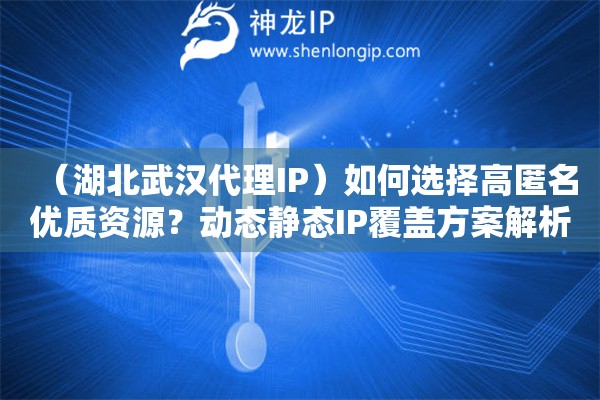 （湖北武漢代理IP）如何選擇高匿名優(yōu)質(zhì)資源？動(dòng)態(tài)靜態(tài)IP覆蓋方案解析