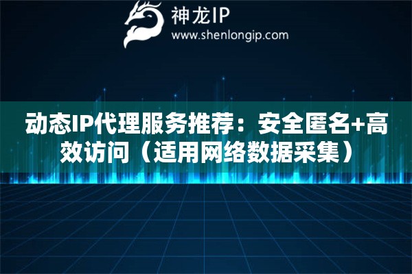 動(dòng)態(tài)IP代理服務(wù)推薦：安全匿名+高效訪問（適用網(wǎng)絡(luò)數(shù)據(jù)采集）