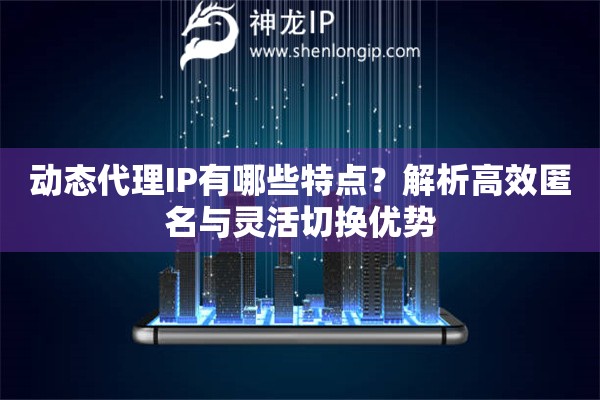 動態(tài)代理IP有哪些特點(diǎn)？解析高效匿名與靈活切換優(yōu)勢