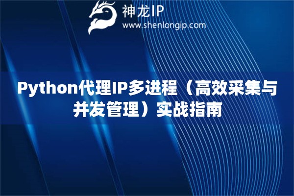 Python代理IP多進程（高效采集與并發(fā)管理）實戰(zhàn)指南