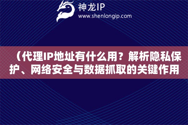 （代理IP地址有什么用？解析隱私保護(hù)、網(wǎng)絡(luò)安全與數(shù)據(jù)抓取的關(guān)鍵作用）