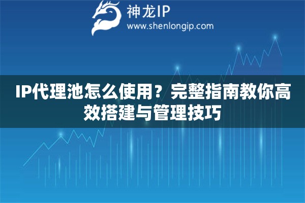 IP代理池怎么使用？完整指南教你高效搭建與管理技巧