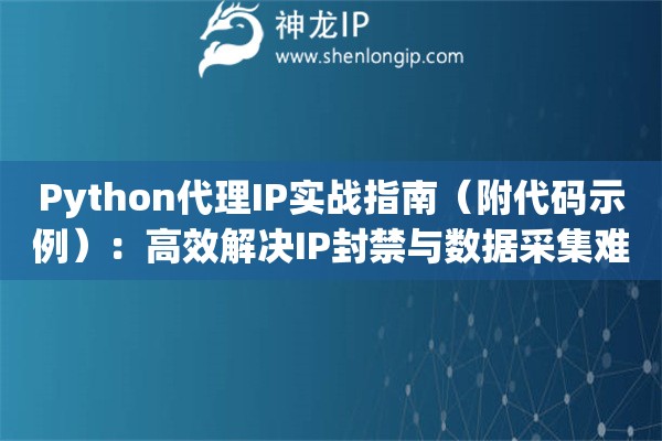 Python代理IP實戰(zhàn)指南（附代碼示例）：高效解決IP封禁與數(shù)據(jù)采集難題