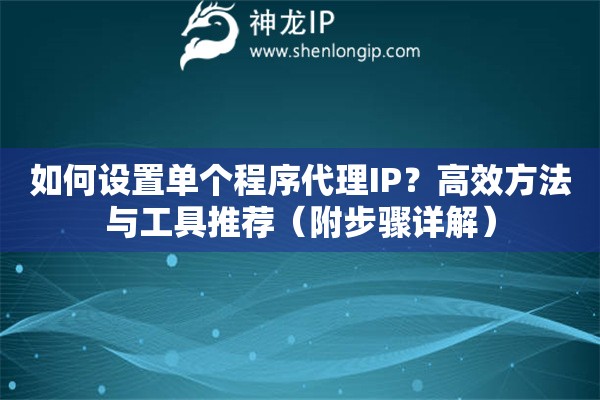 如何設置單個程序代理IP？高效方法與工具推薦（附步驟詳解）
