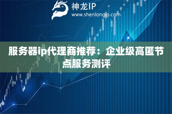 服務器ip代理商推薦：企業級高匿節點服務測評