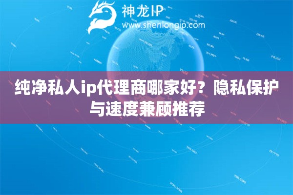 純凈私人ip代理商哪家好？隱私保護與速度兼顧推薦