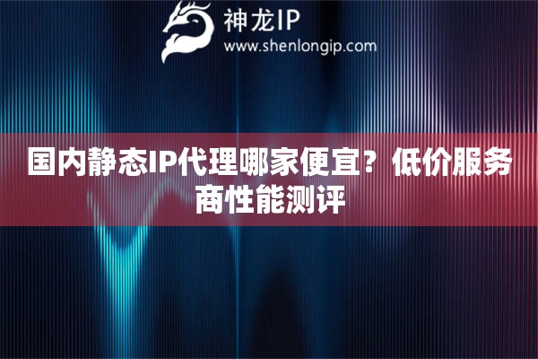 國內(nèi)靜態(tài)IP代理哪家便宜？低價服務商性能測評