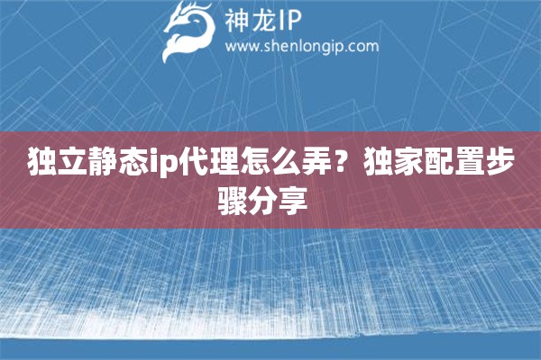 獨(dú)立靜態(tài)ip代理怎么弄？獨(dú)家配置步驟分享  