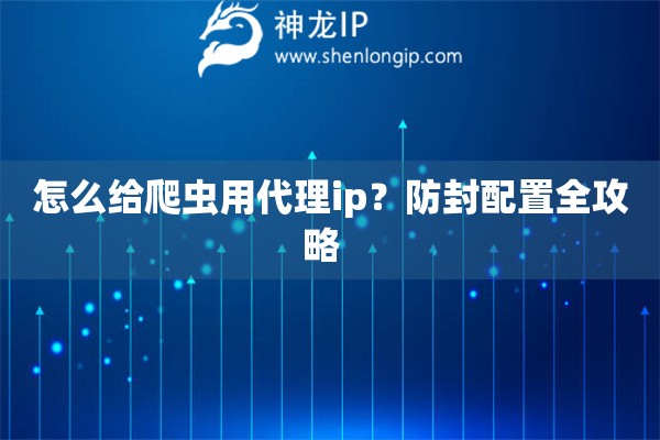 怎么給爬蟲用代理ip？防封配置全攻略  