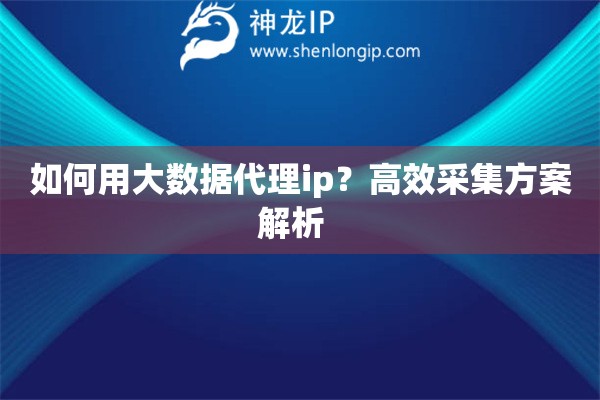 如何用大數(shù)據(jù)代理ip？高效采集方案解析  