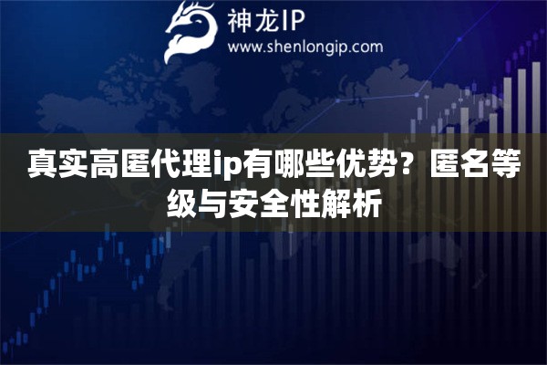 真實高匿代理ip有哪些優勢？匿名等級與安全性解析